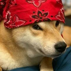 Ярослав Смирнов