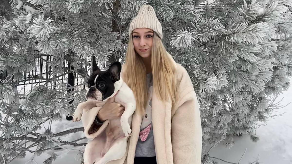 Пироплазмоз у собак: что делать если питомца укусил клещ, симптомы ...