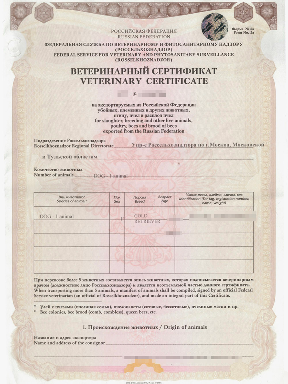 Так выглядит международный ветеринарный сертификат. Информация о животном указана на английском языке. Источник: зоосалон «Филимон»