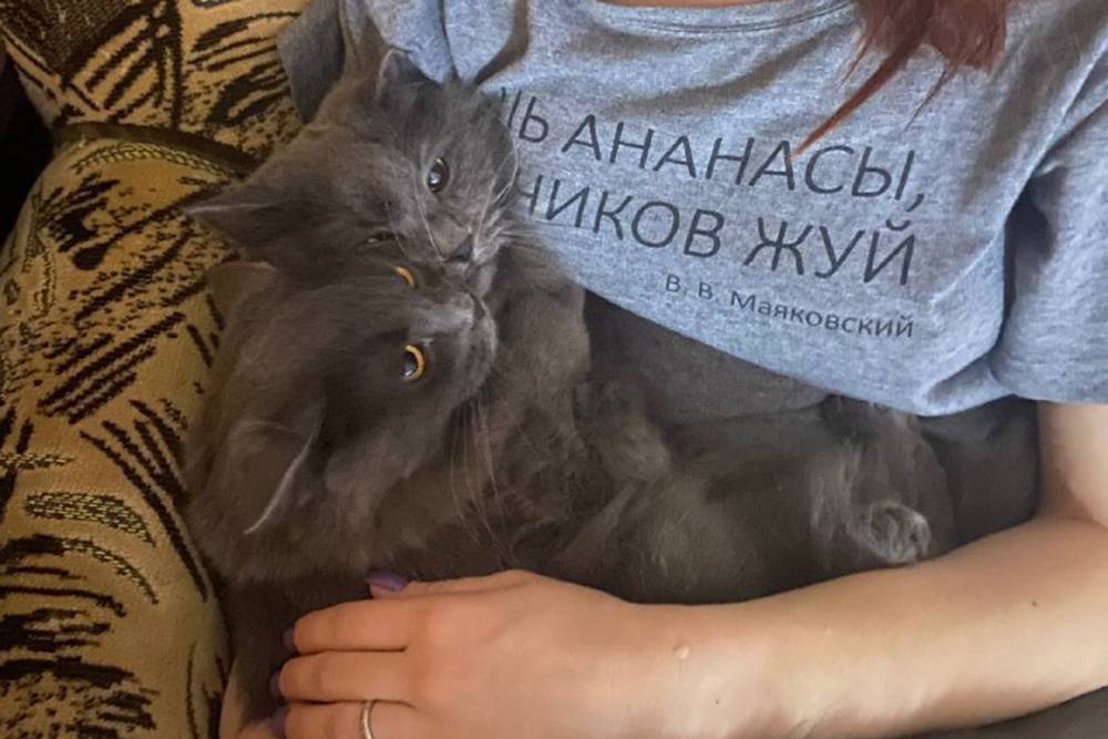 Редчайшее фото — оба котика у меня на руках! Обожаю так проводить с ними время