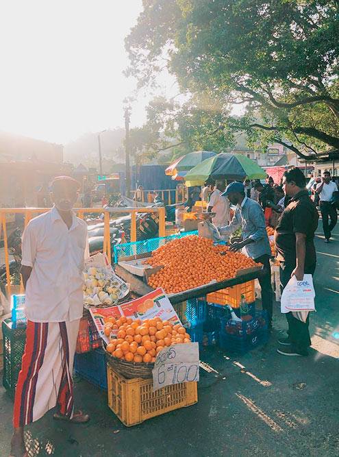 На Шри-Ланке мандарины продают поштучно. В Канди шесть мандаринов стоят 100 Rs (39 <span class=ruble>Р</span>), в туристической Хиккадуве за эту цену предлагали четыре фрукта