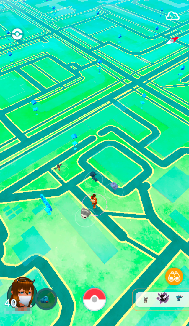 В игре нужно ходить по визуализации карты реальной местности и ловить покемонов