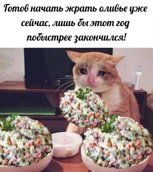 Изображение пользователя Ell'