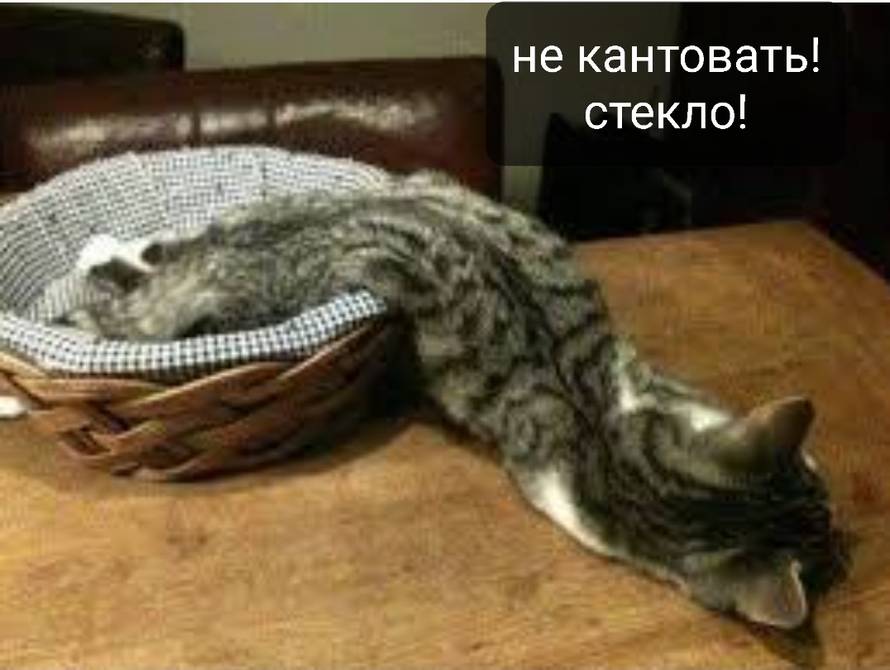 Изображение пользователя не_спорь с матерью