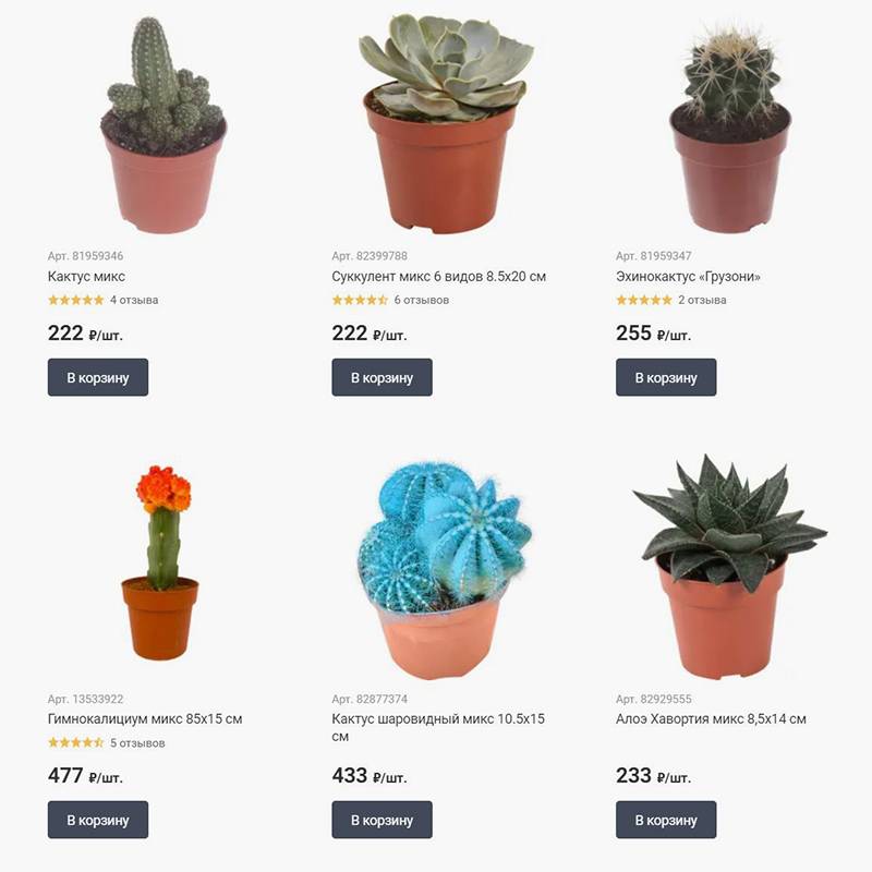 В «Леруа Мерлене» можно купить классику домашних растений: кактусы, суккуленты и алоэ. Если хочется найти что-то нестандартное, лучше обращаться в специализированные магазины