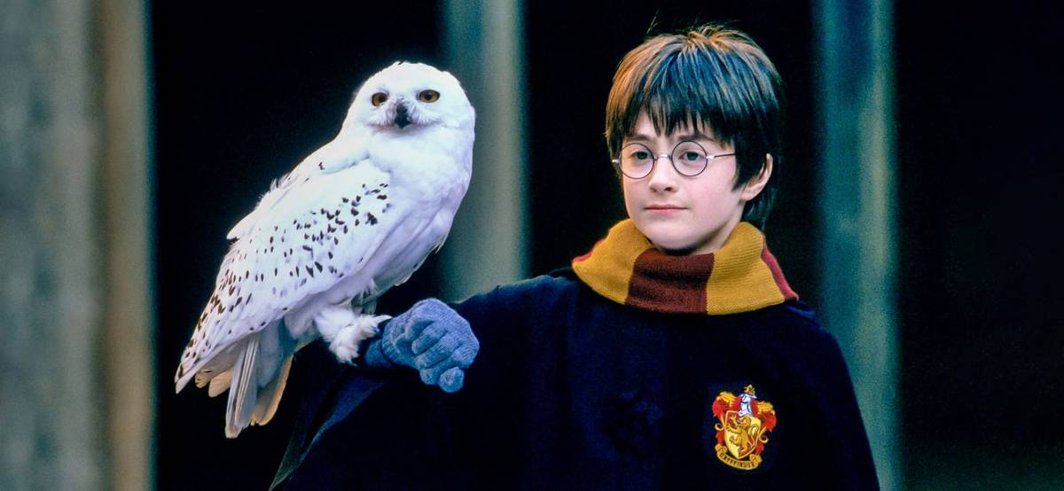 Где легально смотреть «Гарри Поттера» в России: онлайн-кинотеатры и ...
