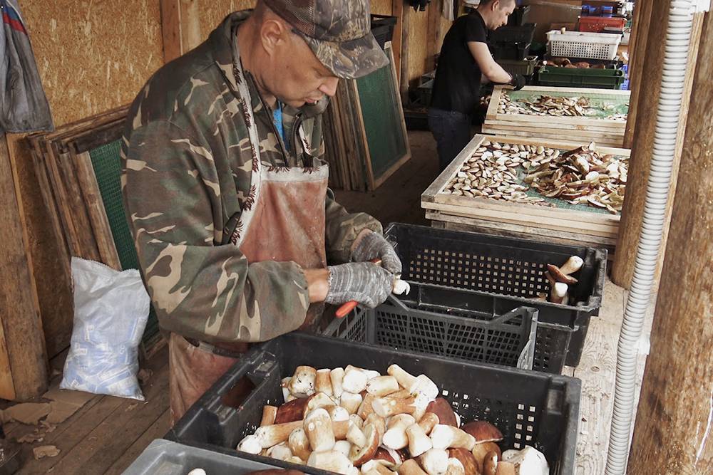 Думаю, дальше буду большую часть товара продавать оптом или отдам овощным точкам у себя в районе