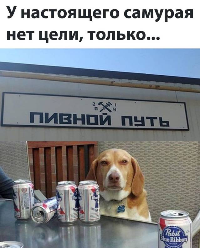 Изображение пользователя Филиппыч