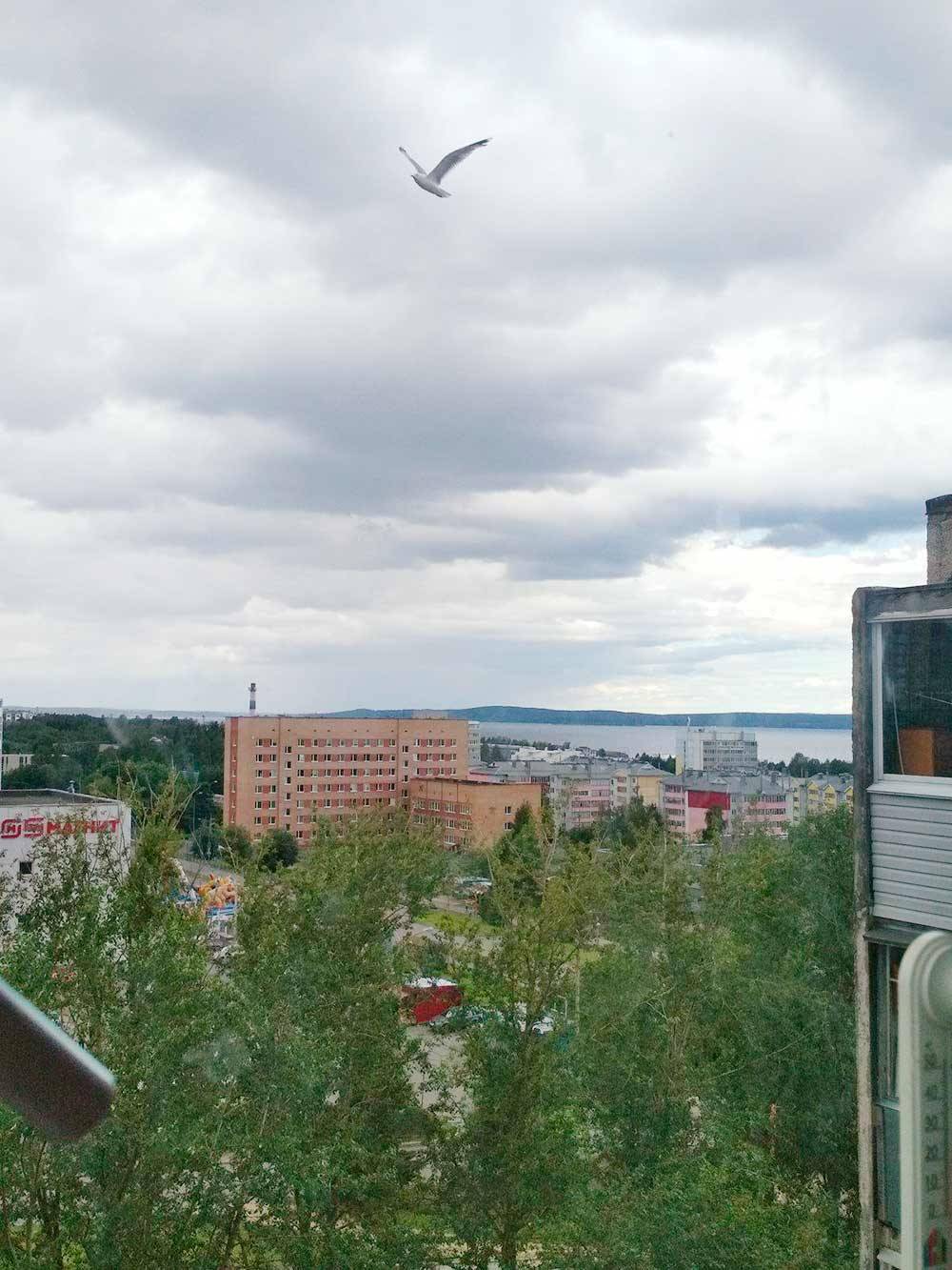 Вид из окна нашей городской квартиры