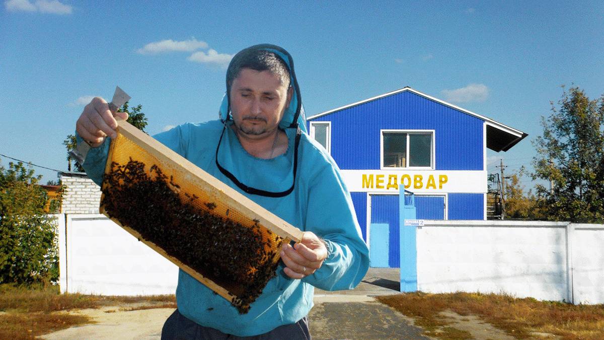 Бизнес: напитки из меда в Белгородской области