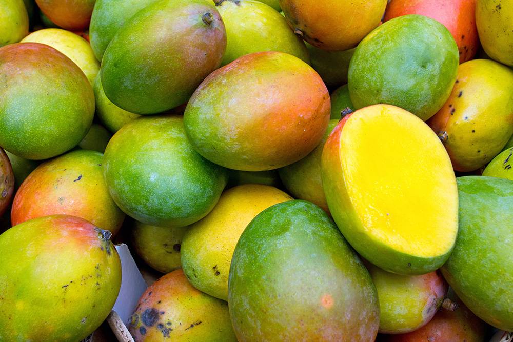 У манго, как и авокадо, цвет кожуры не говорит о спелости: это фрукт любых оттенков красного и желтого