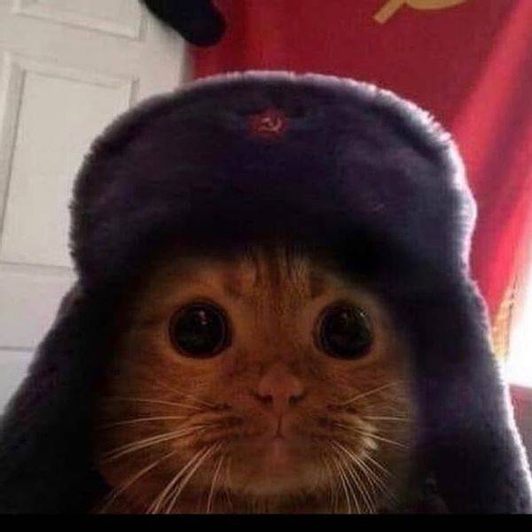 Павел Басистов