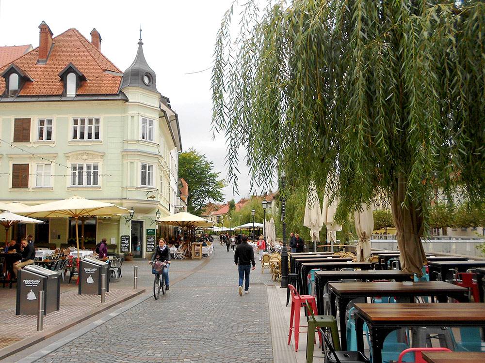 В Любляне почти на всех улицах растут деревья. Это набережная реки Любляницы