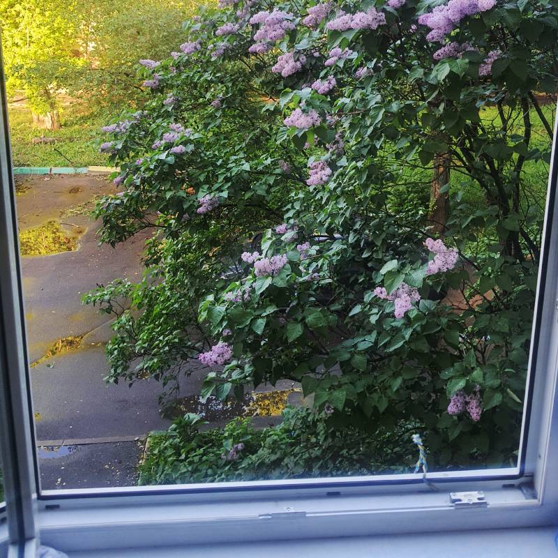 Как переехать в новую квартиру, сделать ремонт и не остаться на улице?