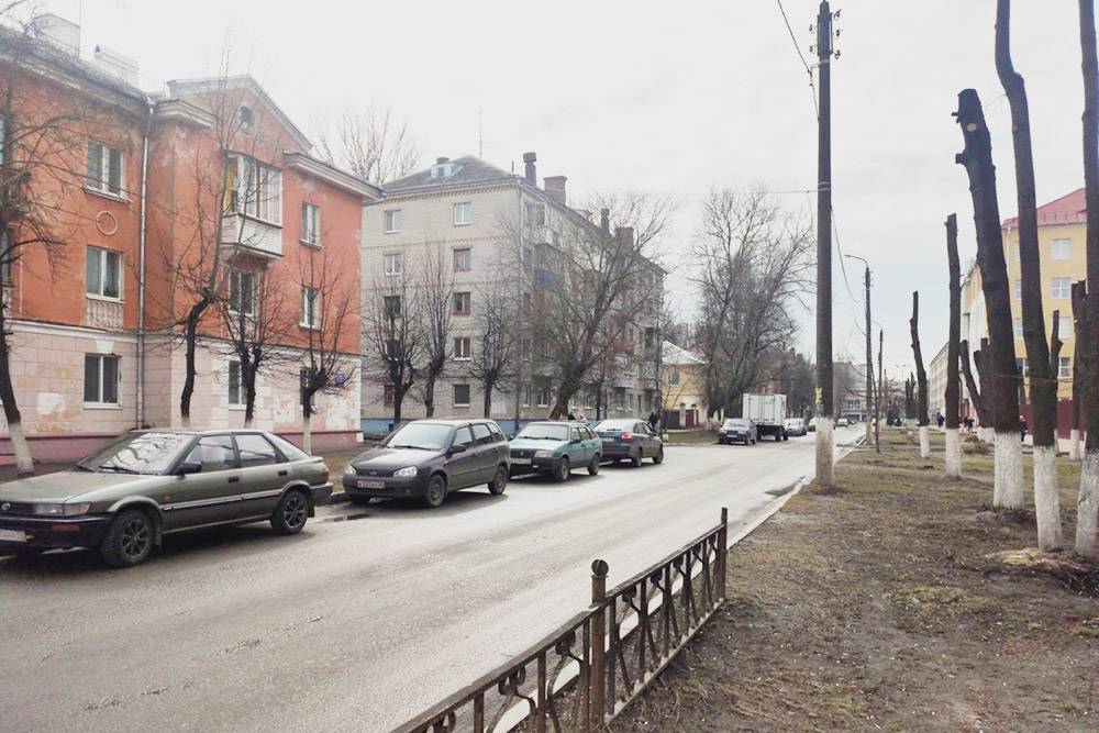 Весной и осенью улицы Брянска выглядят уныло, в том числе из-за плохого благоустройства, а точнее, его отсутствия