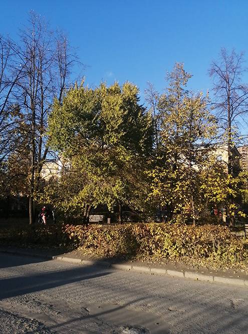 И не скажешь, что осень