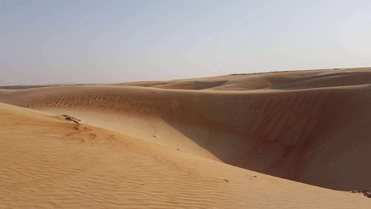 Пустыня Лива в эмирате Абу-Даби