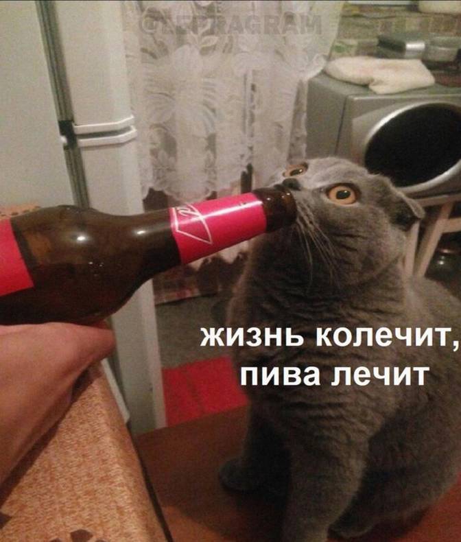 Изображение пользователя Мушу