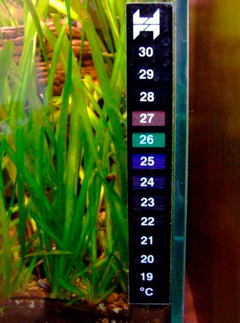 Термометр-наклейка на&nbsp;внешней стороне. Источник: mysku.ru
