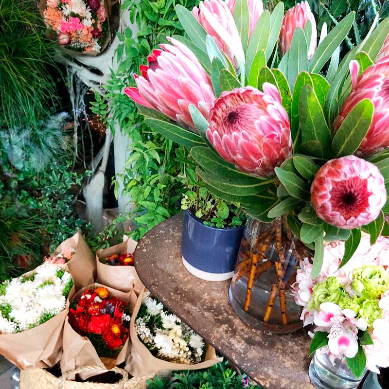В Маре очень много маленьких цветочных магазинчиков, и все они очень симпатичные