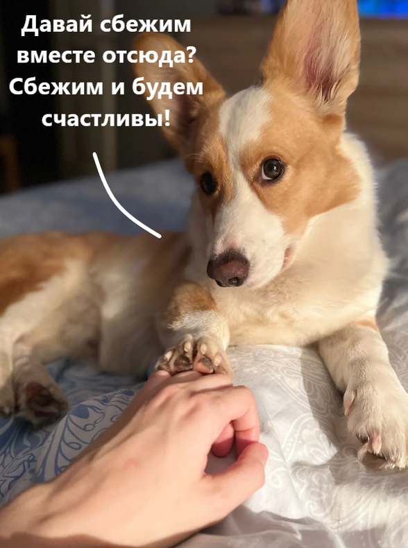 Изображение пользователя Филиппыч