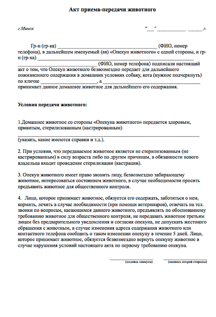 Породы и характер собак как выбрать собаку