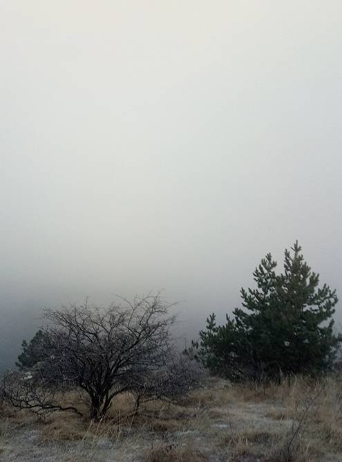 Джилы-Су в тумане
