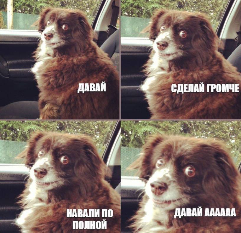 Изображение пользователя d1mmmk