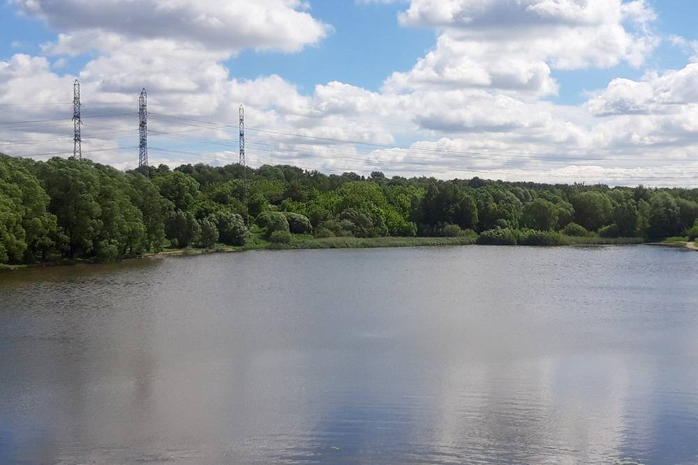 Пейзаж по дороге к метро