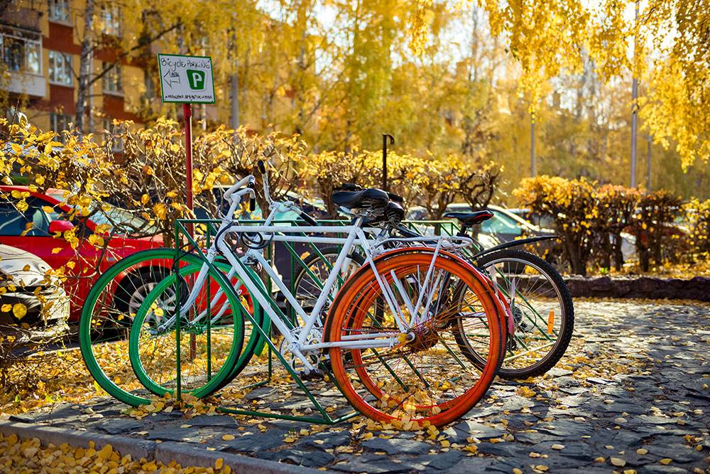 Типичная улица в Академгородке. Фото: Елена Симакова