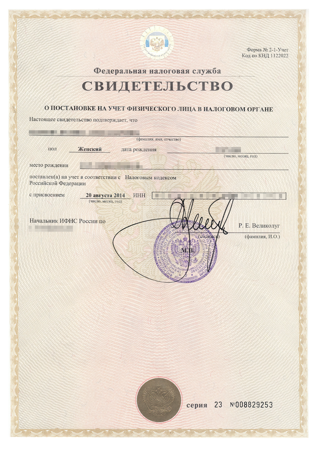 Как выглядит инн фото документа нового образца