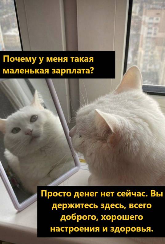 Изображение пользователя Винсент