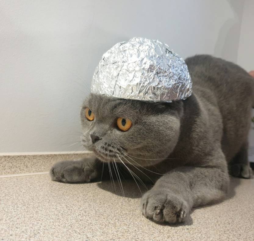 Изображение пользователя Сашенька