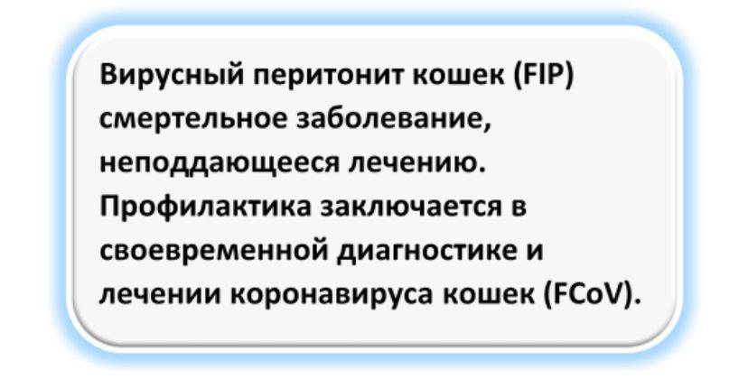 Изображение пользователя G M