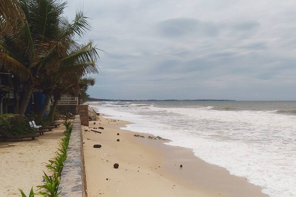 Пляж в Муйне в сентябре. Волны вынесли на берег мусор