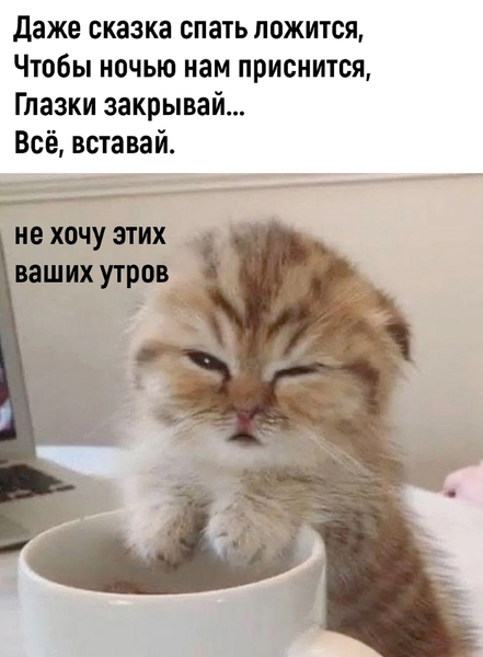 Аватар пользователя Булочка с изюмчиком