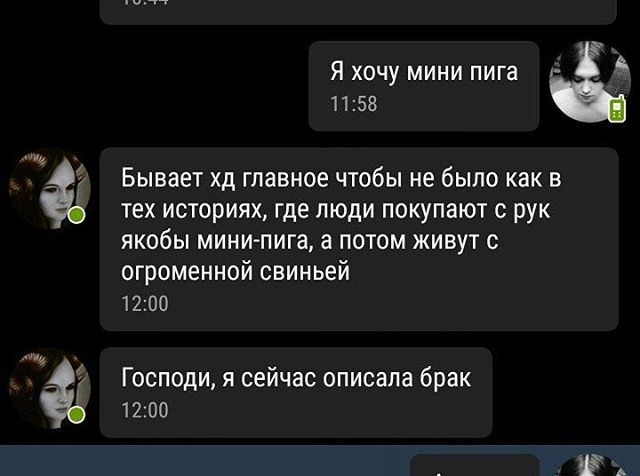 Изображение пользователя rainbow pony