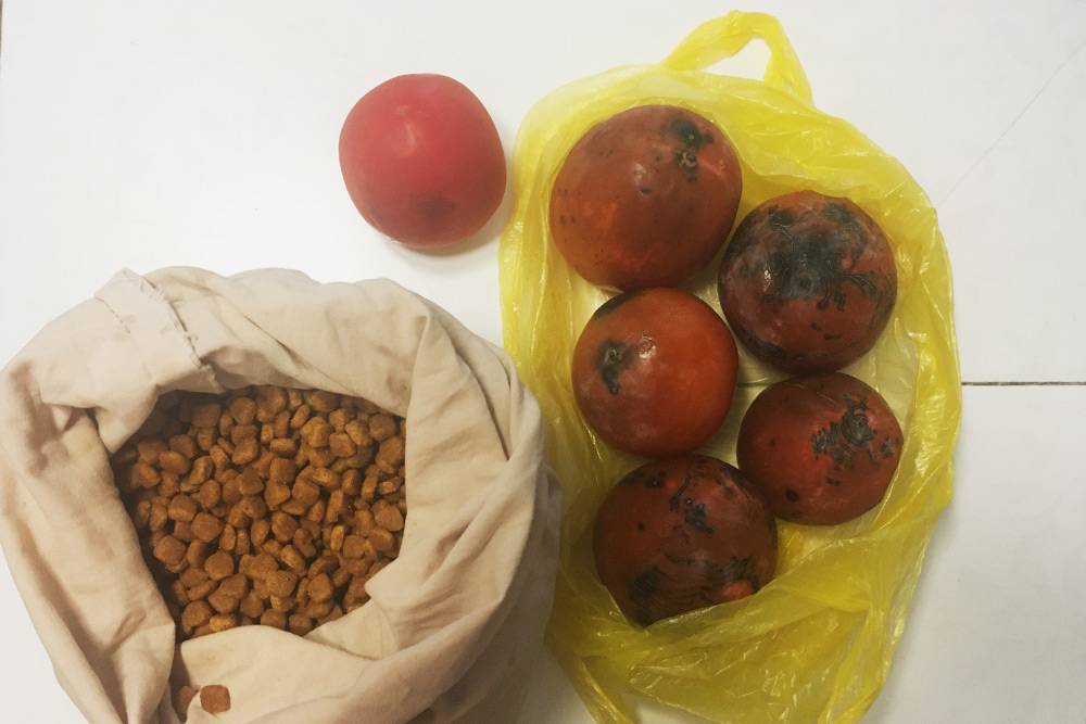 Мои покупки в шестой день эксперимента: помидор, хурма и корм для&nbsp;кошки