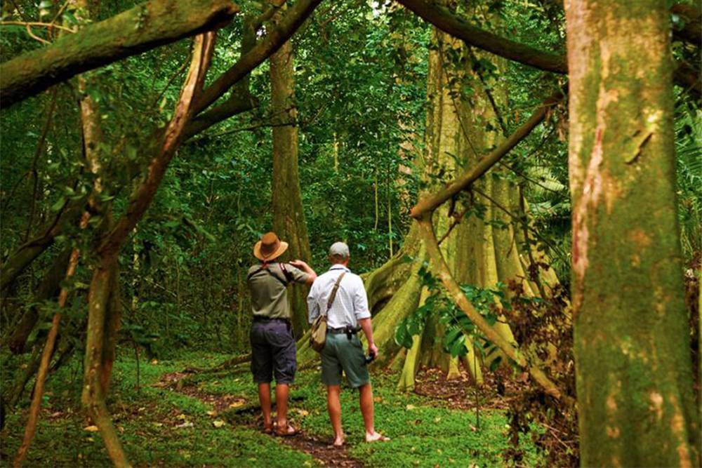 В парке «Рубондо» можно вот так побродить по диким джунглям. Источник: safari-online.com