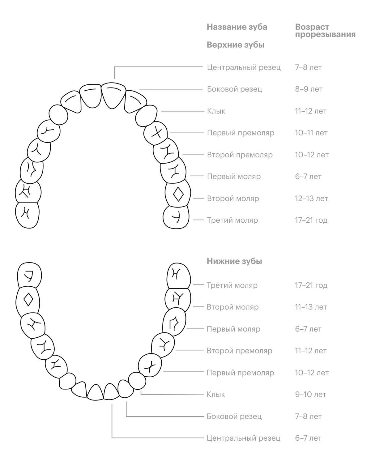 Смена зубов у детей на постоянные по возрасту фото схема