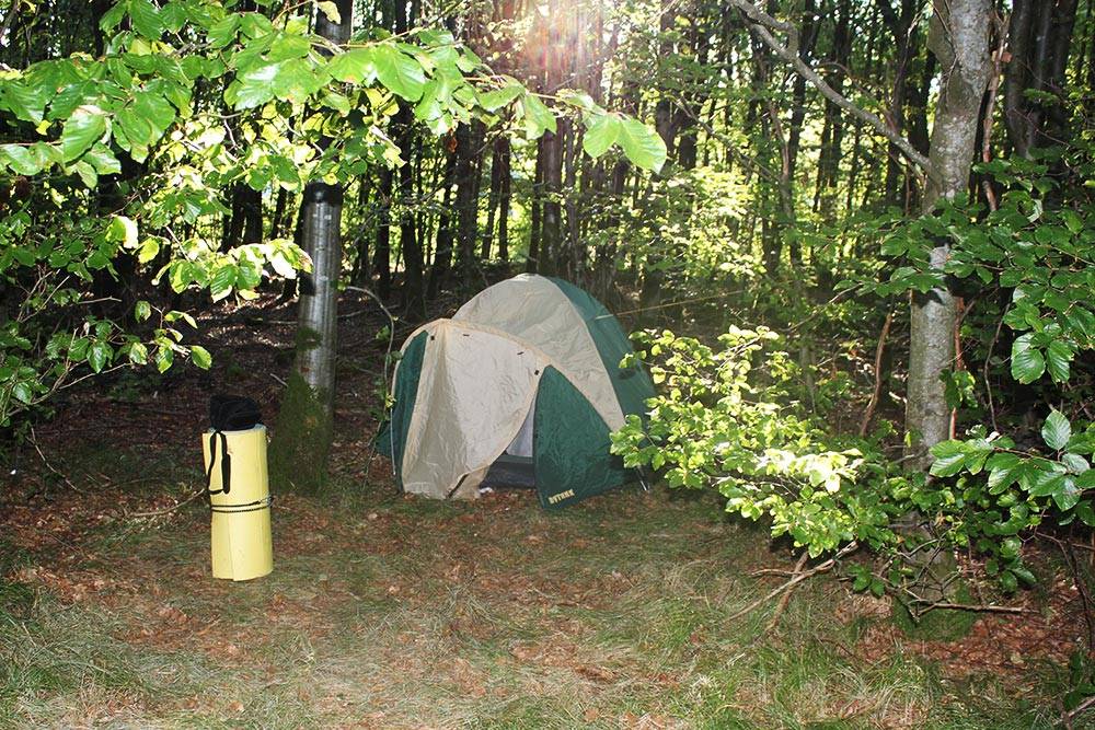 Ночлег на стоянке трассы E45 в 20 километрах от Мюнхена. Мы поставили палатку в лесу за забором-сеткой