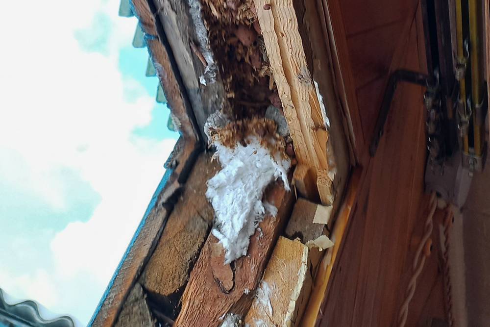 Как купить и отремонтировать дачу: опыт пенсионерки