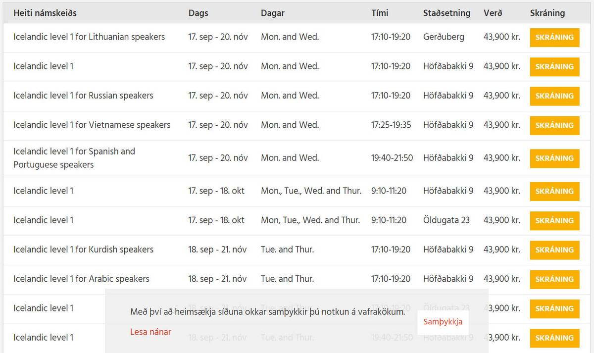 Список курсов исландского в языковой школе «Мимир»
