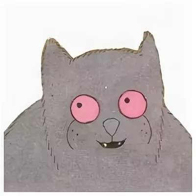 Mogg the Cat