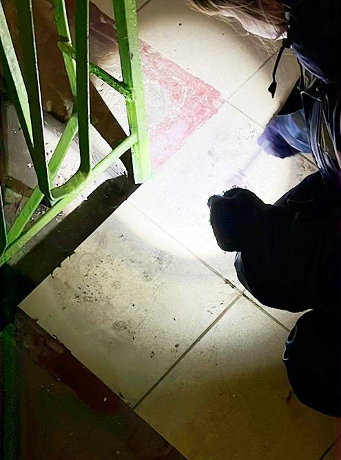 Полицейские пытались найти следы велосипедного вора, но ничего не вышло