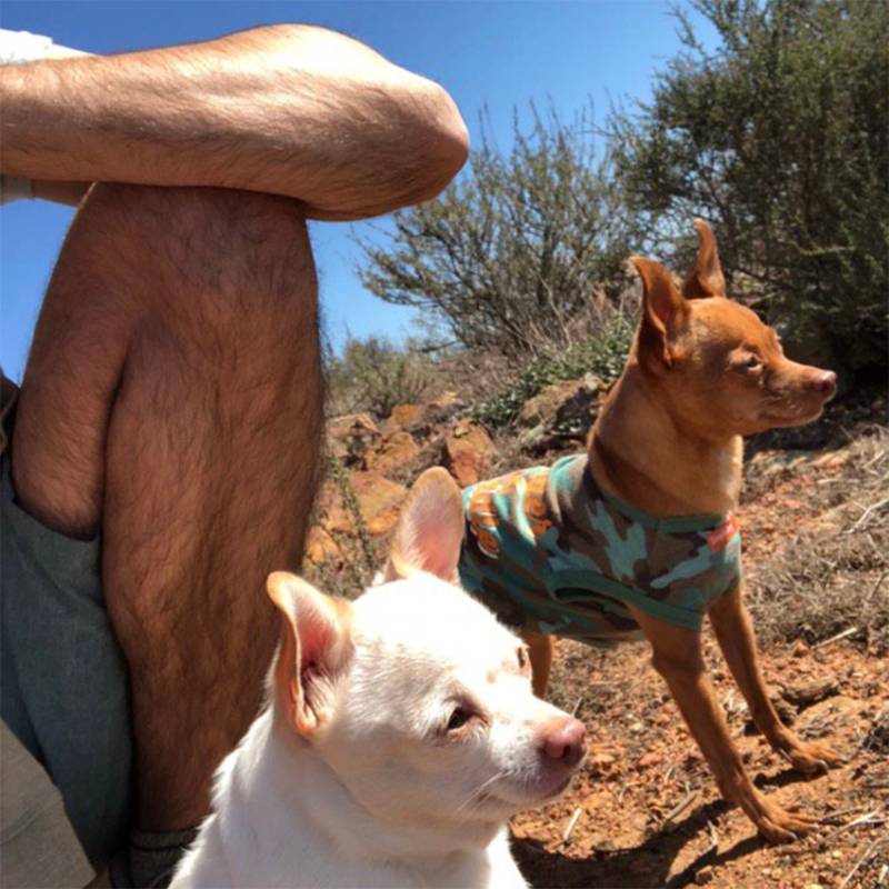 Брин и Тиген на хайкинге