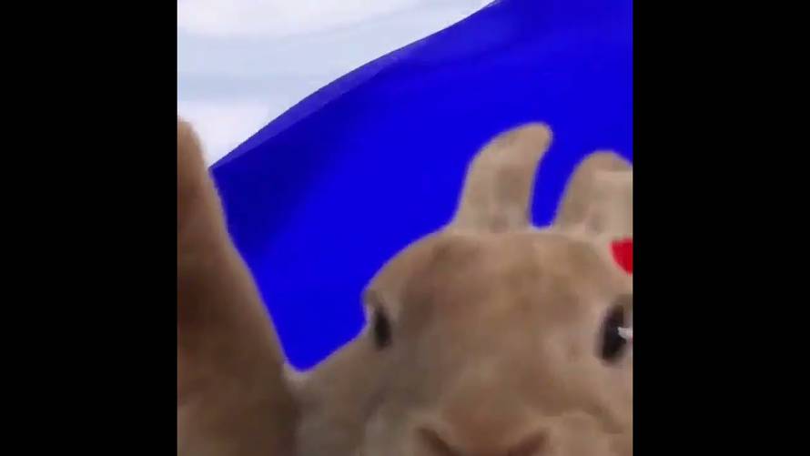 Изображение пользователя Алексей Малахов 🔥
