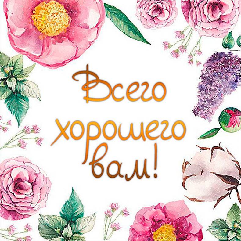 Изображение пользователя user2514405