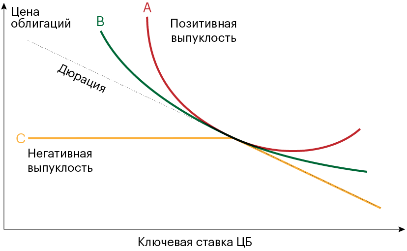 Красная и зеленые линии — графики цены двух облигаций с позитивной выпуклостью. Желтая линия — график цены облигации с негативной выпуклостью. Пунктирная линия — дюрация облигаций. Выпуклые линии отклоняются от пунктирной линии при&nbsp;изменении процентных ставок