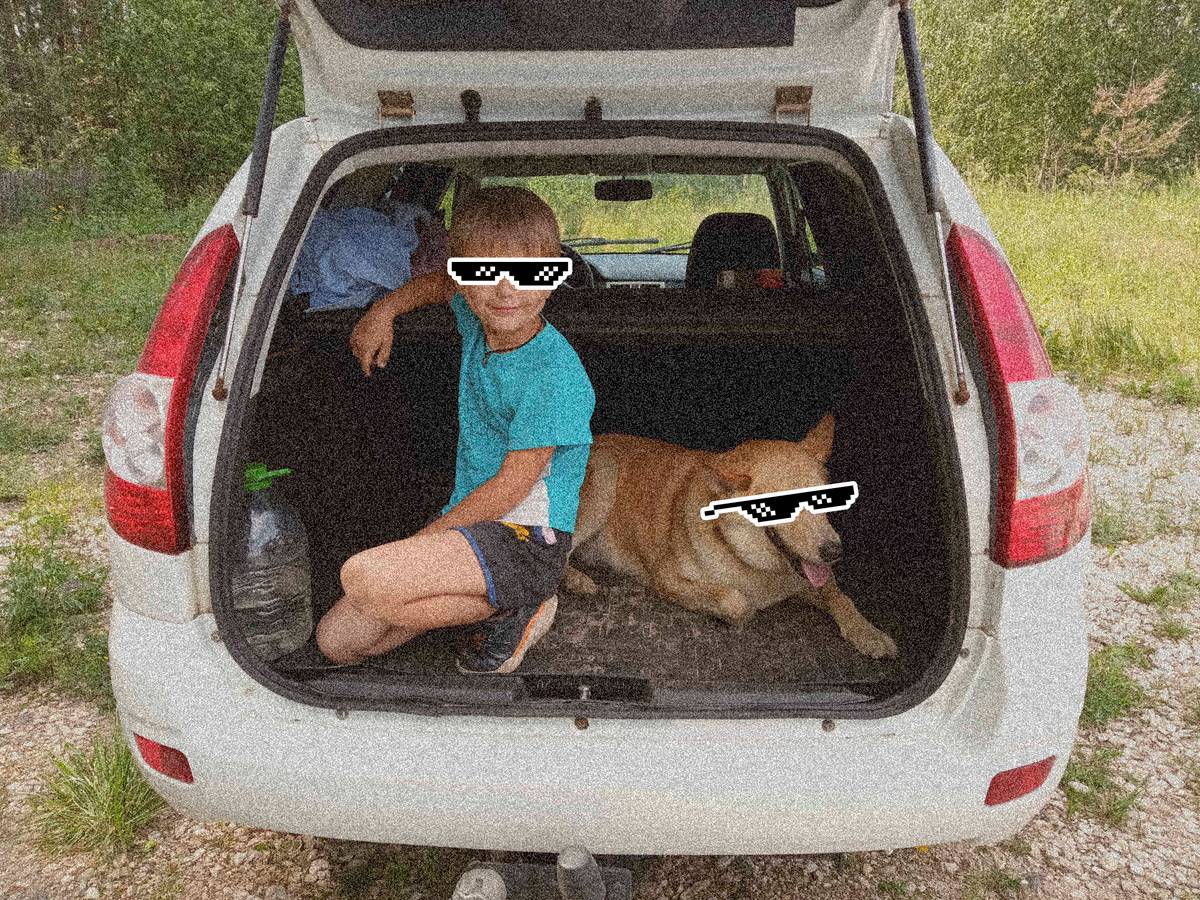 Мальчик и собака прячутся от зноя во вместительном багажнике моей таченьки
